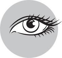 anterior-segment