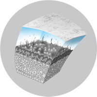 tear-miniscus